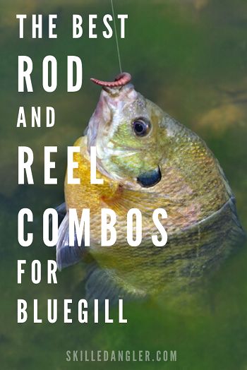 Bluegill Fishing, Crappie Fishing Tips, Best Fishing Rods, Trout Fishing Tips, Fishing For Beginners, My Top 3, Fishing Rods And Reels, Walleye Fishing, Fishing Rigs