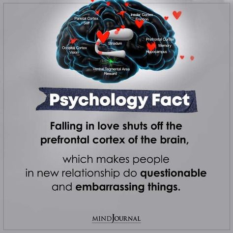 Psychological Facts About Love, Psychology Facts About Love, Facts About Love, Physiological Facts, Psychology Notes, Psychological Facts Interesting, Brain Facts, Psychology Says, Amazing Science Facts