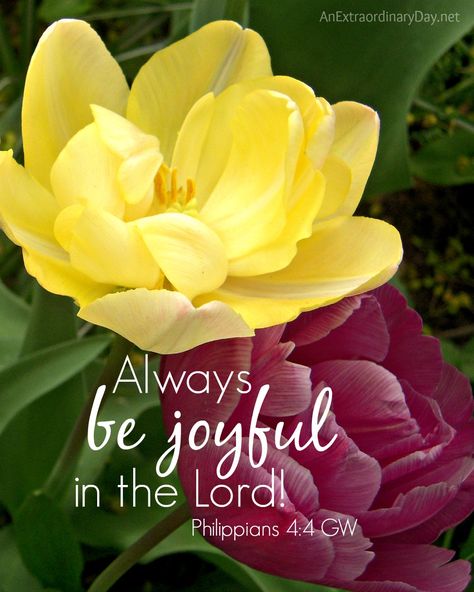 Be Joyful, Ayat Alkitab, Biblical Verses, Bible Verses Quotes Inspirational, Flower Quotes, Biblical Quotes, Scripture Art, Religious Quotes, Spiritual Inspiration