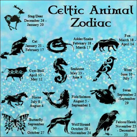 Astrology Animals, Celtic Animal Zodiac, Celtic Zodiac Signs, Celtic Zodiac, Celtic Animals, Animal Zodiac, Animal Spirit Guides, Celtic Astrology, Zodiac Dates