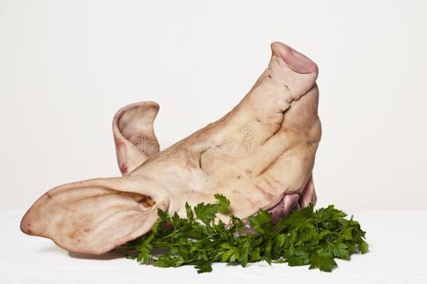 Art Refence, Pork Head, Series Ideas, Pig Head, Reference Photos, Frying, Art Reference Photos, Parsley, Pigs