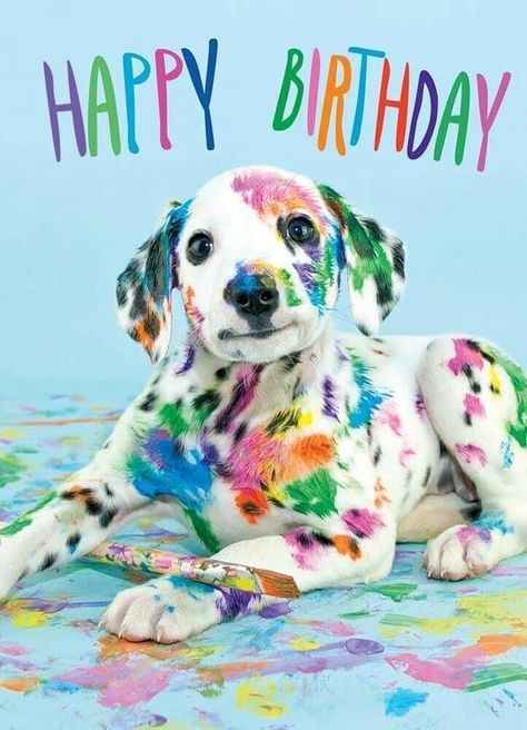 Happy Birthday Funny Dog, Dog Birthday Wishes, Happy Birthday Puppy, Best Birthday Images, Happy Birthday Dog, Birthday Greetings Friend, Happy Birthday Beautiful, Happy Birthday Greetings Friends, Happy Birthday Meme