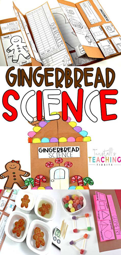 Science Christmas Activities, Gingerbread Story Activities, Gingerbread Library, Gingerbread Science, Gingerbread Activities Preschool, Santa Science, Gingerbread Math, Gingerbread Unit, Gingerbread Man Activities