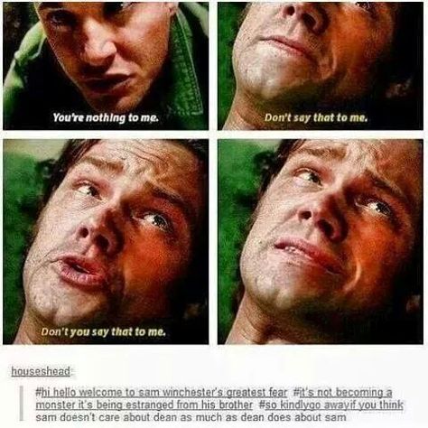 Spn Fandom, Emmanuelle Vaugier, Mark Sheppard, Supernatural Tv Show, Sam Dean, Supernatural Memes, Supernatural Seasons, Supernatural Funny, Winchester Brothers