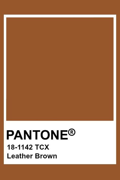 Pantone Leather Brown Witty Art, Brown Pantone, Pantone Tcx, Pantone Swatches, Pantone 2020, Pantone Palette, Pantone Colour Palettes, Colour Board, Color Of The Year