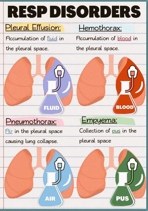 X Nurse Practitioner Student Clinical, Respiratory Therapy Student, Nursing School Studying Cheat Sheets, Respiratory Disorders, Paramedic School, Nursing School Essential, Medical School Life, Nursing School Motivation, Basic Anatomy And Physiology