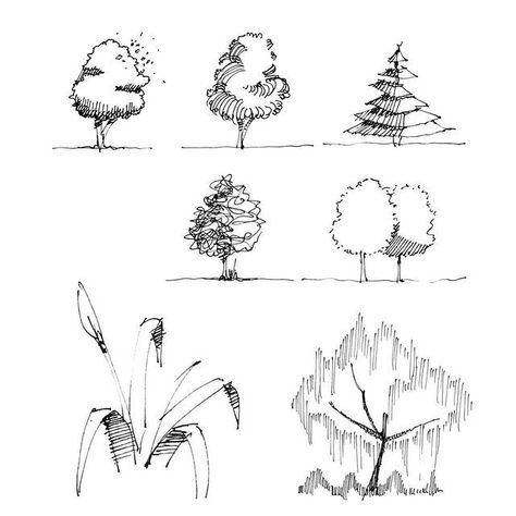 Some more vegetation studies. Happy Monday! #SketchLikeAnArchitect . . . . . #sketchlikeanarchitect #learntodraw #stepbysteptutorial #3Ddrawings #sketchingtips #architectureillustration #urbansketching Arch Tree, Architectural Trees, Plant Sketches, Landscape Design Drawings, Landscape Architecture Drawing, Nature Sketch, Tree Sketches, Landscape Sketch, Architecture Design Sketch