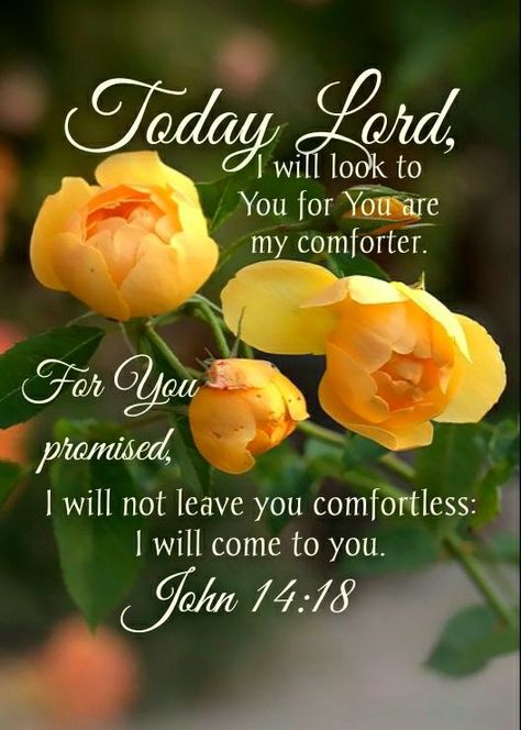 Good Morning Bible Quotes, Good Morning Scripture, Morning Bible Quotes, Good Morning Bible Verse, Animation Pictures, Morning Scripture, Daily Wishes, Quotes Morning, Quote Pictures