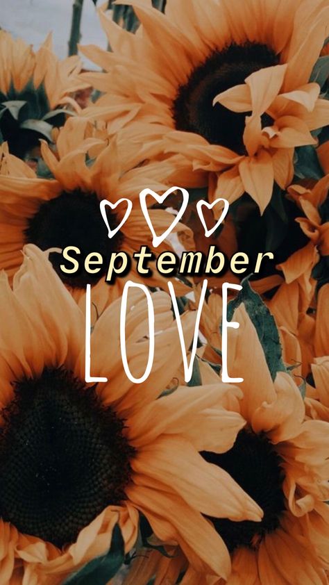 September love wallpaper Hello September Images, Gangster Wallpaper, September Love, Aesthetic September, September Images, September Wallpaper, Welcome September, November Wallpaper, September Calendar