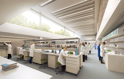 Small Laboratory Design, Laboratory Interior, Laboratory Idea, Lab Interior, Stanton Williams, Physics Lab, Laboratory Design, School Building Design, Innovation Centre