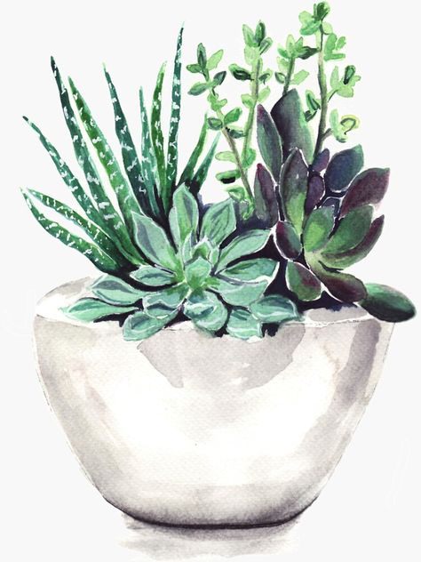 "Succulents" Sticker by bridgetdav | Redbubble Arts And Crafts Kits, Diy Oils, Cross Stitch Pictures, Paint By Numbers, Diy Plants, Paint By Number Kits, Canvas Wall Decor, Succulent Pots, 5d Diamond Painting