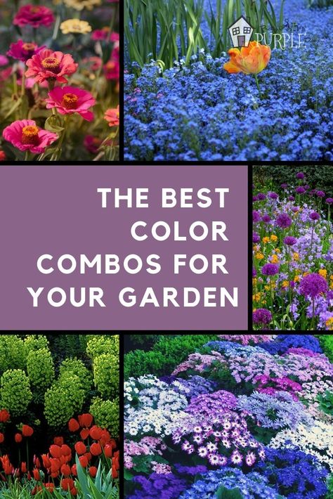 Create gorgeous color schemes for your garden + some awesome color scheme examples to try. Best Color Combos, Garden Yard Ideas, Best Color, Flowers Wallpaper, Perennial Garden, Gorgeous Gardens, Garden Cottage, Colorful Garden, Lawn And Garden