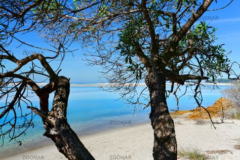 Pristine waters of Mallacoota Victoria Australia #AD, #Advertisement, #AD, #waters, #Australia, #Victoria, #Pristine Mallacoota Victoria, Victoria Australia, Crystal Clear Water, Scenic Views, Clear Water, Crystal Clear, Anime Art, Australia, Water