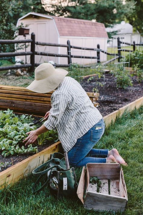 A Daily Something | Our Little Garden – An Update Gardening Photography, Things To Do At Home, Garden Photography, Little Garden, Kitchen Garden, Slow Living, Dream Garden, Small Garden, Country Life