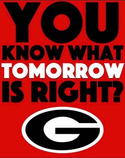 Georgia Bulldogs Quotes, Bulldog Wallpaper, Georgia Bulldawgs, Ga Bulldogs, Georgia Dawgs, Georgia Bulldogs Football, Bulldogs Football, Funny Football, Board Quotes