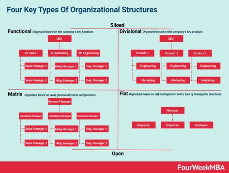 What Is An Organizational Structure And Why It Matters - FourWeekMBA Business Organizational Structure, Organisational Development, Flat Organization, Innovation Hub, Organizational Design, Organizational Leadership, Distribution Strategy, Career Motivation, Leadership Inspiration