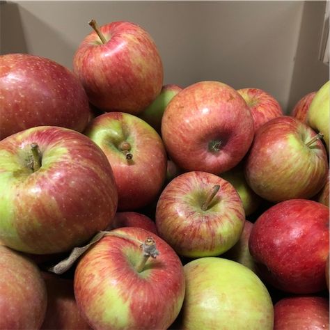 Braeburn Apples Information, Recipes and Facts Braeburn Apple Recipes, Braeburn Apple, Choy Sum, Ghost Plant, Pigeon Peas, Red Veins, Beet Recipes, Artichoke Recipes, Kaffir Lime