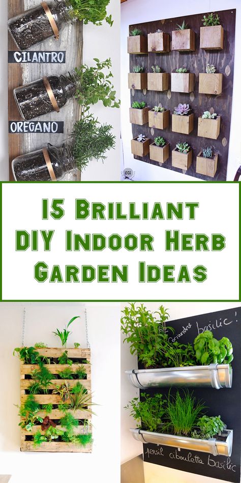 15 Brilliant DIY Indoor Herb Garden Ideas Diy Indoor Herb Garden, Indoor Herb Garden Ideas, Vertical Herb Gardens, Indoor Herbs, Garden Planters Diy, Herb Garden Ideas, Indoor Vegetables, Herb Wall, Herb Garden In Kitchen