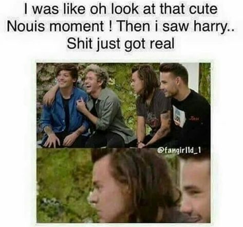 One Direction Jokes, Larry Shippers, 1d Funny, One Direction Wallpaper, One Direction Photos, One Direction Humor, One Direction Memes, Louis And Harry, Harry Styles Photos