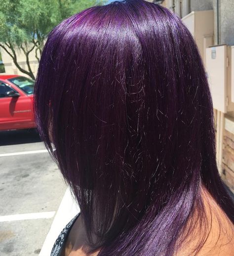 Purple Violet Midnight Black Dark Purple Hair Color Ideas, Dark Purple Hair Color, Purple Hair Color Ideas, Purple Hair Color, Dark Purple Hair, Plum Hair, Violet Hair, Lilac Hair, Hair Color Purple