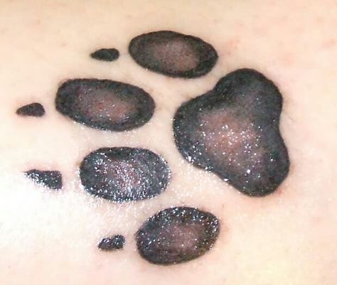 Great dane paw print tattoo Cat Paw Print Tattoo, Dog Pawprint Tattoo, Cat Paw Tattoos, Cat Footprint, Pawprint Tattoo, Paw Tattoo, Lion Paw, Cat Paw Print, Cat Paw