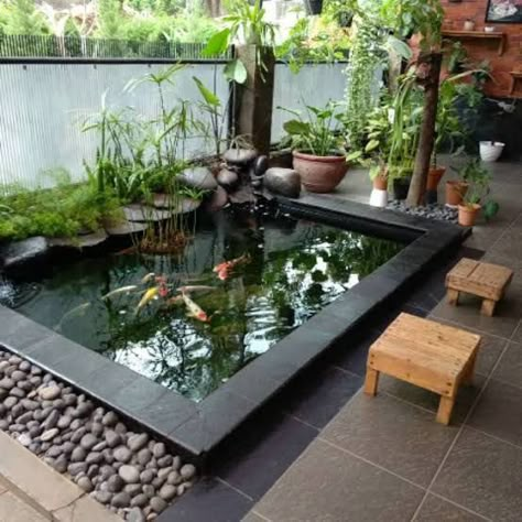 Koi Fish Pond Inside House, Koi Pond Indoor Home, Indoor Koi Pond Ideas, Fish Pool Design, Koi Pond Indoor, Koi Fish Pond Backyard, Koi Fish Pond Ideas, Indoor Fish Pond Ideas, Modern Koi Pond