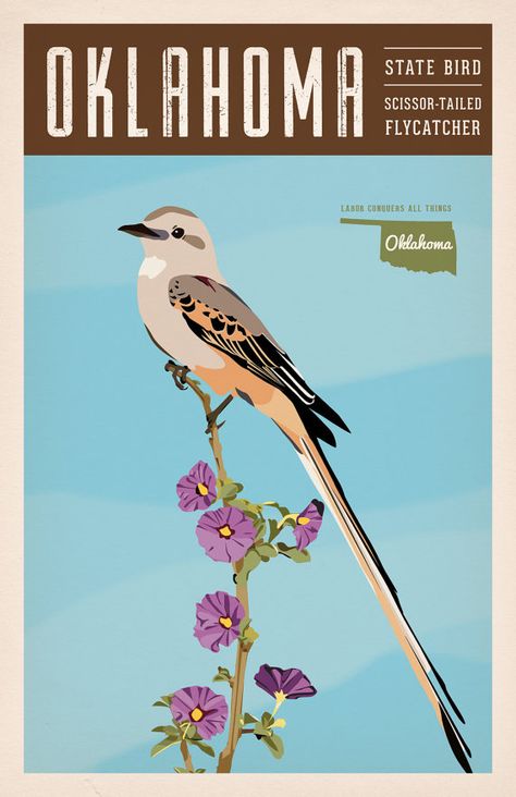 Oklahoma Posters Set Scissortailed Flycatcher by AstreaCreative Oklahoma Art, Oklahoma History, State Posters, Series Poster, Map Vintage, Vintage Poster Design, State Birds, Tulsa Oklahoma, Oklahoma State