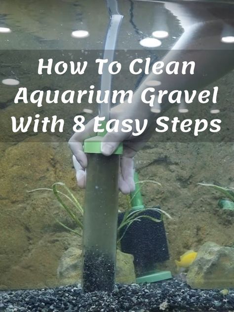 Have you ever watched your fish playing in beautifully clear aquarium water, and wished that your fish tank was as clean as theirs? If so, you should definitely read our overview of how to clean aquarium gravel. If you use sand, you should be reading how to clean aquarium sand. Fish love to hide in their homes beneath rocks and plants in the aquarium gravel. #aquarium Cleaning Aquarium Tanks, Glow In The Dark Aquarium, How To Clean A Fish Tank Aquarium, Fish Tank In Classroom, How To Clean A Fish Tank, Clean Fish Tank, Best Whey Protein Powder, Fish Tank Gravel, Aquarium Sand