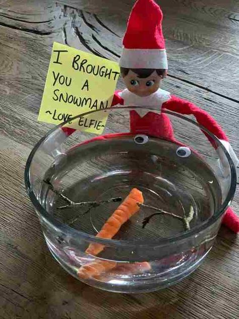 Funny Elf On The Shelf Arrival Ideas For 2023 - RecipeMagik Elf Ideas Easy, Thanksgiving Aesthetic, Elf On The Shelf Arrival, Funny Elf On The Shelf, Bad Elf, Napkin Folds, Folding Ideas, Awesome Elf On The Shelf Ideas, Elf Activities