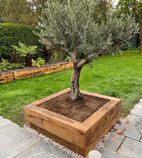 Railway Sleeper Planters, Railway Sleeper Raised Beds, Raised Bed Sleepers, Raised Garden Beds Around Tree, Oak Raised Beds, Sleeper Raised Beds On A Slope, Wooden Sleepers Garden, Sleepers Garden Ideas Raised Beds, Raised Garden Beds With Trees