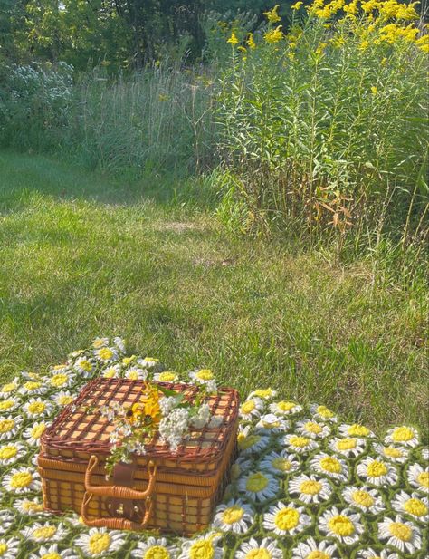 picnic basket sunflower field Picnic In Flower Field, Flower Picking Date, Petra Core, Sunflower Field Aesthetic, Picnic Field, Field Picnic, Autumn Shoot, Picnic Decorations, Grassy Field