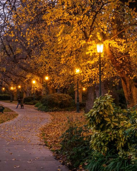 Brimming with history and heritage, take a waltz down any of the charming streets of Bendigo this autumn and you'll fall in love with this regional city. Autumn Walk Aesthetic, Fall Aesthetic Vibes, Fall At Night, October Season, Park In Autumn, Fall Walk, Park Aesthetic, Autumn Walk, Fall Mood