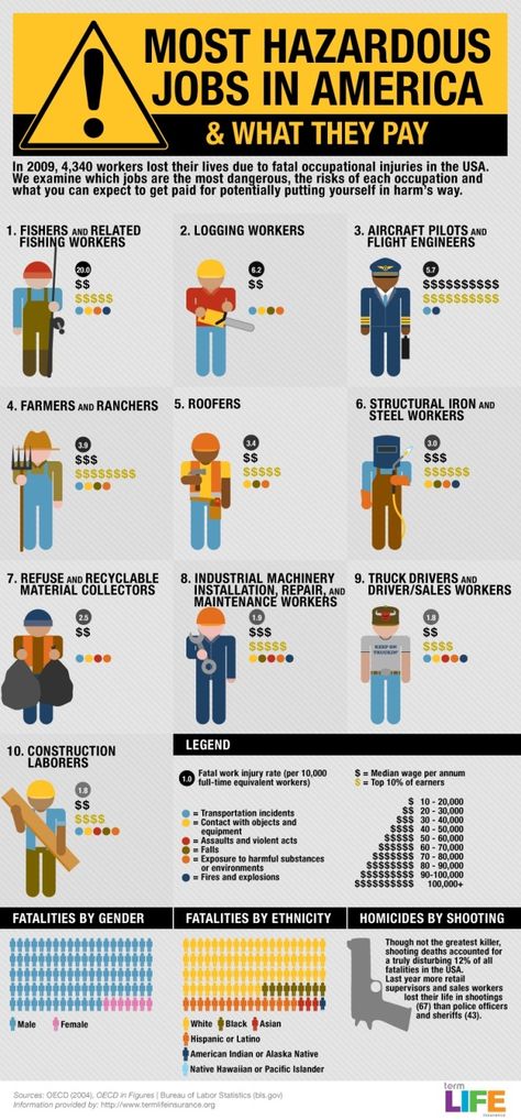 most hazardous jobs in america Media Infographic, Job Page, Dangerous Jobs, Social Media Advice, Career Exploration, Social Studies Teacher, Exercise Motivation, Workplace Safety, Online School