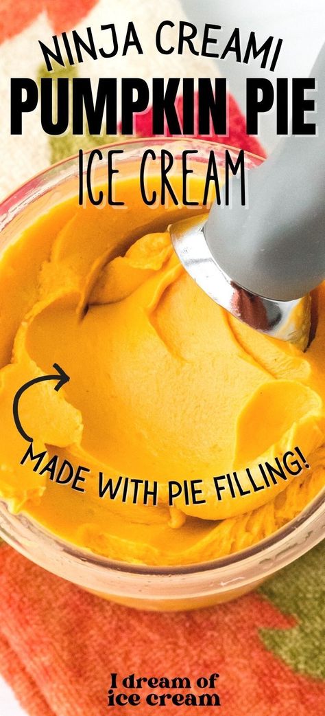 Pumpkin Pie Ninja Creami Recipe, Ninja Creami Pumpkin Pie, Pumpkin Pie Ice Cream Ninja Creami, Pumpkin Ninja Creami Recipe, Pumpkin Ninja Creami, Dairy Free Ninja Creami, Dairy Free Pumpkin Ice Cream, Ninja Ideas, Ice Cream Maker Recipes Healthy