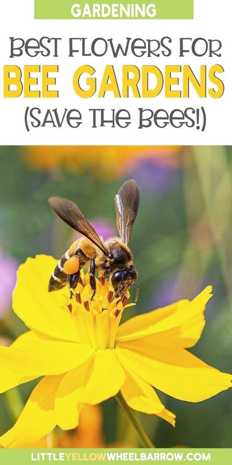 Bee Garden Design, Best Flowers For Bees, Flowers For Bees, Herbs To Plant, Bee Friendly Flowers, Bee Friendly Garden, Best Perennials, Backyard Flowers, Best Flowers