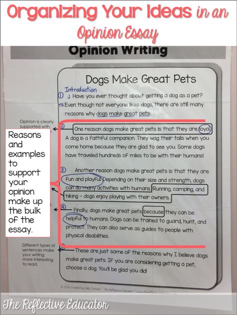 Opinion Writing Introduction, Opinion Writing Examples, Persuasive Writing Examples, Opinion Writing Activities, Opinion Essay, Writing Genres, Dessert Oreo, 5th Grade Writing, 3rd Grade Writing