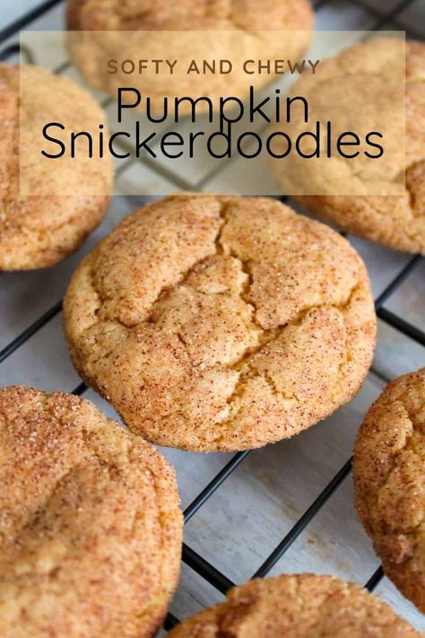 The best and easy Pumpkin Snickerdoodle cookie recipe made with pumpkin pie spice and pumpkin puree. They are quick and delicious.