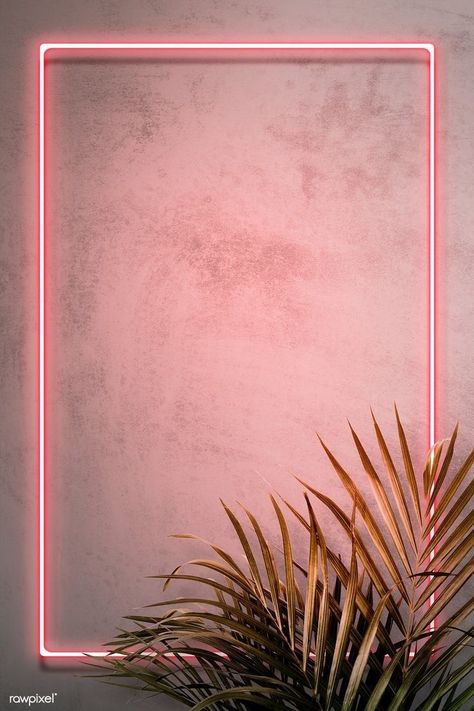 Neon Frame, Vitrine Design, Instagram Background, Instagram Frame Template, Framed Wallpaper, Neon Wallpaper, Instagram Wallpaper, Flower Background Wallpaper, Wallpaper Vintage