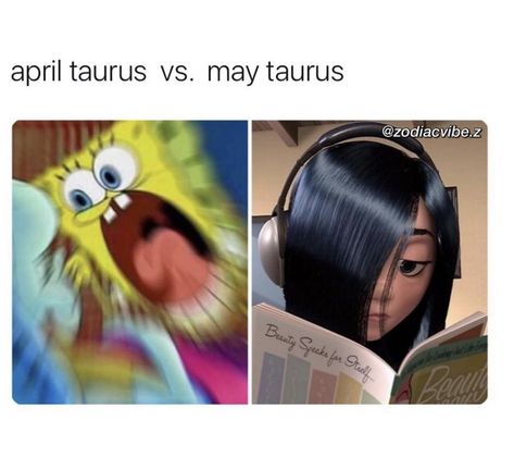 Aquarius Fanart, Taurus Journal, Taurus Things, Taurus Wallpaper, Taurus Zodiac Quotes, Taurus Energy, Taurus Memes, Zodiac Sign Taurus, Taurus Zodiac Facts