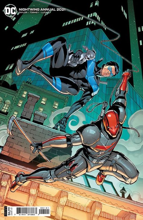 Nightwing And Red Hood, Nightwing And Batgirl, Univers Dc, Arte Dc Comics, Dc Comics Artwork, Batman Universe, Batman Family, Jason Todd, Batman Robin