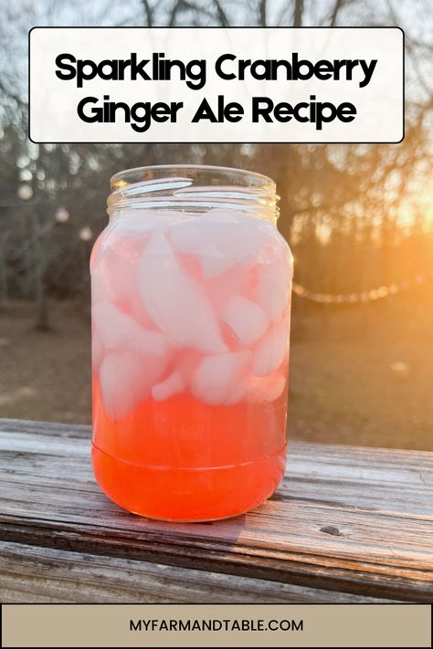 Refresh your taste buds with our Sparkling Cranberry Ginger Ale Recipe! This fizzy and flavorful drink combines the tangy taste of cranberries with the spicy kick of ginger, making it perfect for any occasion. Easy to make and naturally sweetened, this homemade soda is a delightful twist on a classic favorite. Visit our blog for the full recipe and step-by-step instructions to create this bubbly treat today! Cranberry Mocktail, Cranberry Ginger Ale, Ginger Ale Recipe, Cranberry Simple Syrup, Homemade Ginger Ale, Ale Recipe, Ginger Fizz, Winter Foods, Homemade Soda