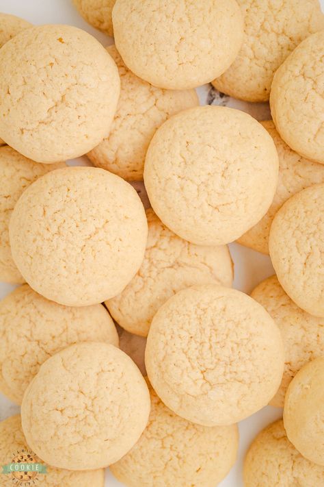 Copycat Vanilla Wafer Cookies Nila Wafer Recipes, Homemade Nilla Wafers, Vanilla Treats, Vanilla Wafer Cookies, Vanilla Wafer, Nilla Wafers, Peanut Butter Cheesecake, Wafer Cookies, Favorite Dessert Recipes