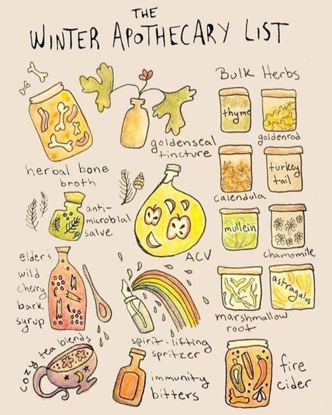 Winter Apothecary, Marshmallow Root Tea, Marshmallow Tea, Kitchen Witch Recipes, Herbal Remedies Recipes, Fire Cider, Winter Wellness, Bulk Herbs, Magic Herbs