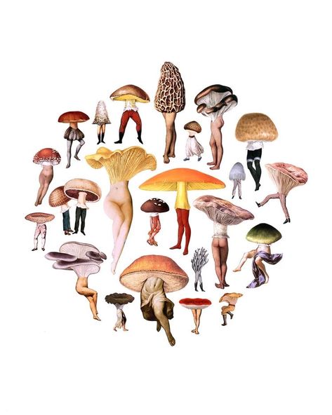 Hybrid Creatures, Fungi Illustration, Fungi Art, Mushroom Design, Living Things, Art Et Illustration, Mushroom Art, Collage Artists, Paper Artist