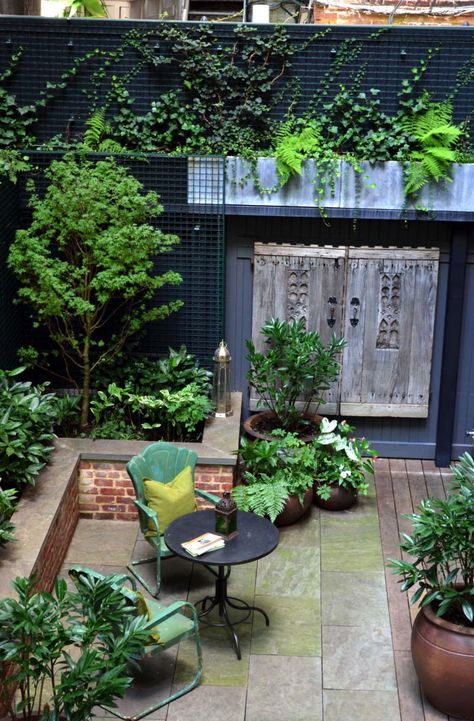 16 Insanely Beautiful Courtyard Garden Ideas With A Wow Factor #outdoors #outdoorliving #courtyard #garden #dining Iron Pergola, Modern Courtyard, Small Courtyard Gardens, Privacy Fence Designs, Contemporary Patio, Small Courtyards, Evergreen Plants, Patio Interior, Brick Patios