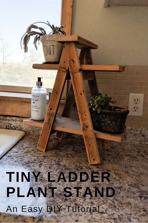 Small ladder plant stand diy tutorial. This easy diy ladder plant stand tutorial is simple and great for anyone with wood scraps to use up. #farmhousedecor #farmhousestyle #ladderdecor #plants #kitchenorganization Diy Ladder Plant Stand, Plant Stand Diy, Drill Bit Sharpening, Ladder Plant Stand, Small Ladder, Diy Ladder, Wood Projects For Beginners, Wood Crafting Tools, Cool Wood Projects