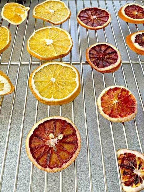 dried orange and blood orange slices on cookie cooling rack Best Food Dehydrator, Food Dehydrators, Diy Cocktails, Mother Earth News, Dried Orange Slices, Dried Oranges, Creation Deco, Dehydrated Food, Trendy Tree