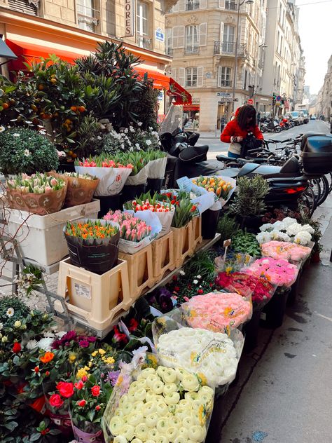 Flower stand in paris Florist Flowers In Paris, Paris Flower Market, Spring Feels, Iris Bouquet, Dream Flower, Paris Flowers, Europe Aesthetic, French Flowers, Paris Trip