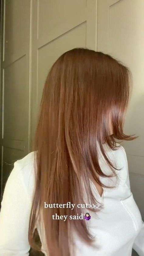 Butterfly Haircut Long Hair Brunette, Butterfly Straight Hair, Butterfly Haircut With Straight Hair, Straight Haircut Ideas For Long Hair, Hair Cuts For Girls Butterfly, Butterfly Haircut Long Straight Hair, Haircut For Long And Straight Hair, Butterfly Layers Straight Hair, Long Haircut Butterfly