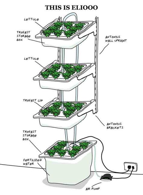 How to Build Indoor Hydroponic Gardens Using IKEA Storage Boxes - Urban Gardens Ikea Storage Boxes, Hydroponic Farming, Hydroponics Diy, Farming System, Hydroponic Growing, Plants Growing, Permaculture Design, Aquaponics System, Ikea Storage